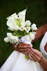 Similar image 1539755