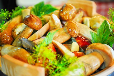 Similar image 1539815