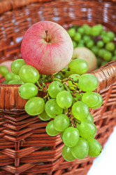 Similar image 1539838