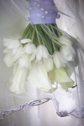 Similar image 1539856