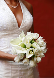 Similar image 1539857