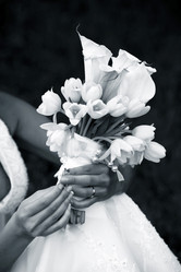 Similar image 1539918