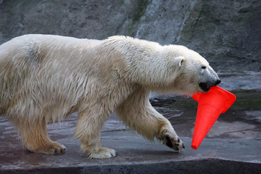 Similar image 1540220