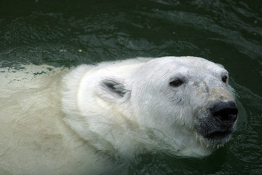 Similar image 1540224