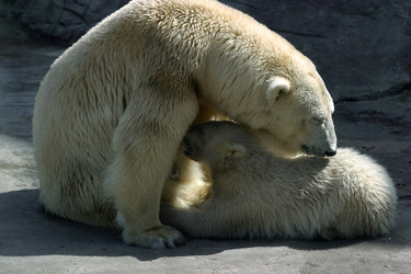 Similar image 1540227