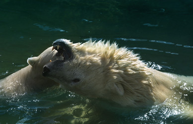 Similar image 1540237