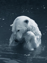 Similar image 1540238