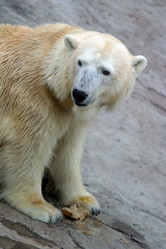 Similar image 1540242