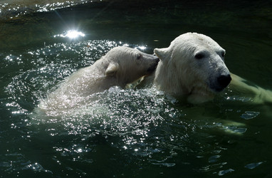 Similar image 1540243