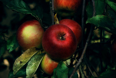 Similar image 1540255