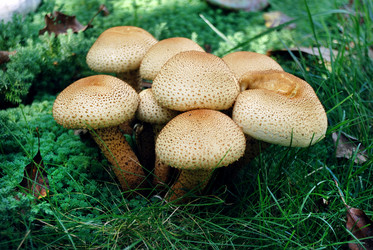 Similar image 1540259