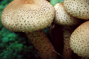 Similar image 1540260