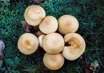 Similar image 1540261