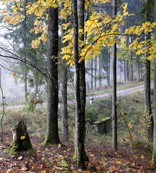 Similar image 1540278