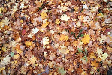 Similar image 1540315