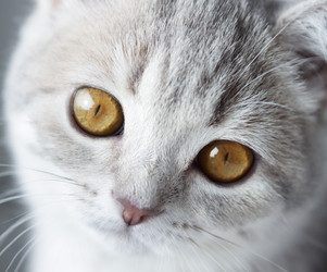 Similar image 1540341