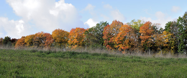 Similar image 1540350