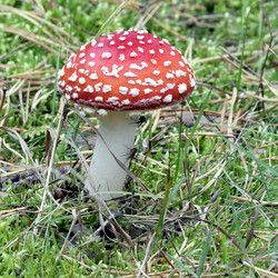 Similar image 1540351