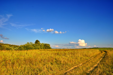 Similar image 1540369