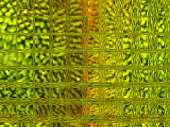 Similar image 1540382