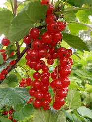 Similar image 1540394