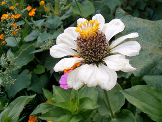 Similar image 1540397