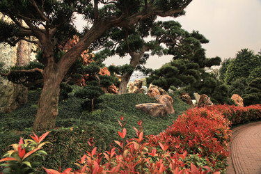 Similar image 1540408