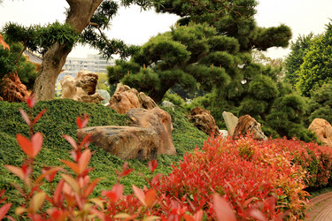 Similar image 1540409