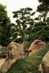 Similar image 1540410