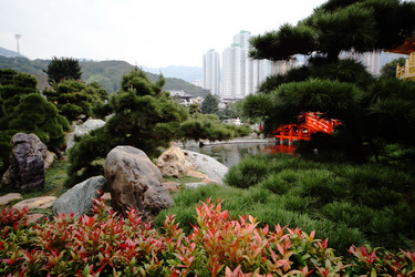 Similar image 1540417