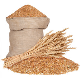 Similar image 1540427