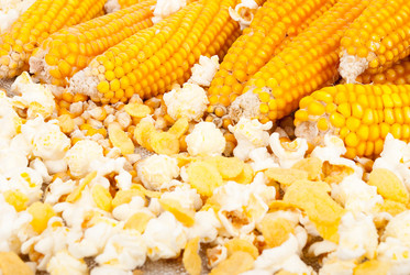 Similar image 1540429