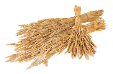 Similar image 1540431