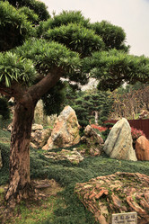 Similar image 1540436