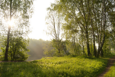 Similar image 1540441