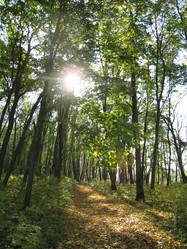 Similar image 1540447