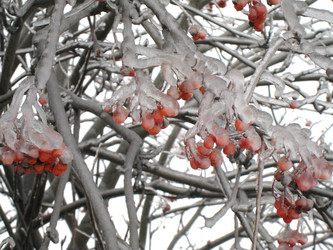 Similar image 1540448