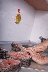 Similar image 1540646