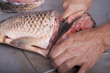 Similar image 1540648