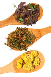 Similar image 1540653