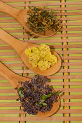 Similar image 1540655