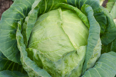 Similar image 1540657