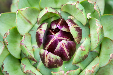 Similar image 1540659