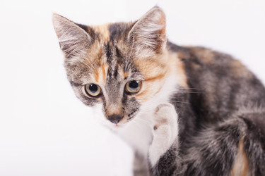 Similar image 1540704