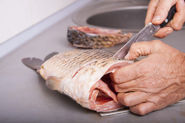 Similar image 1540706