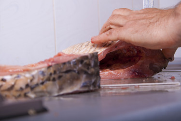 Similar image 1540707