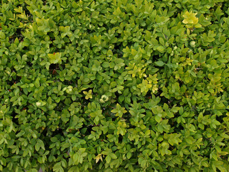 Similar image 1540736