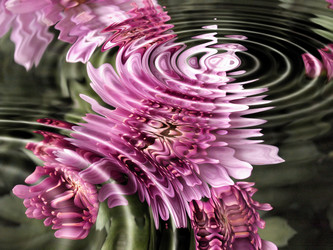 Similar image 1540753