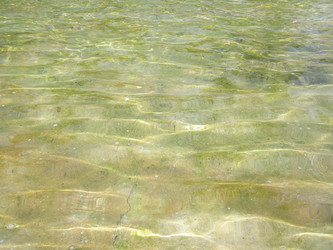 Similar image 1540813