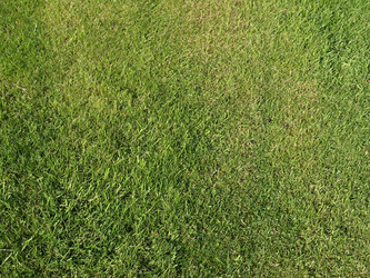 Similar image 1540836